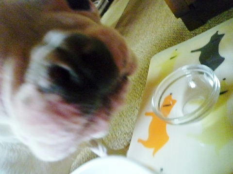P1050550.JPG
