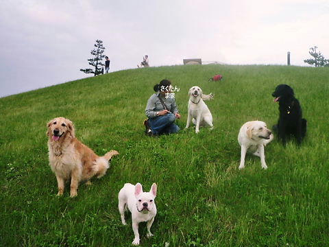 P1050749.JPG