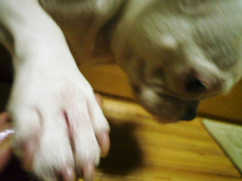 P1060002.JPG