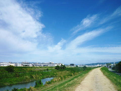 P1060487.JPG