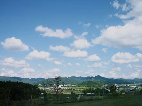 P1060580.JPG