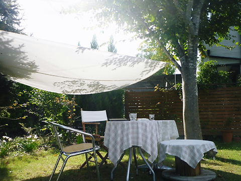 P1060584.JPG