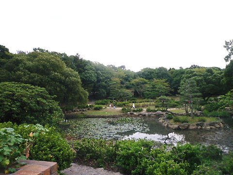P1060644.JPG