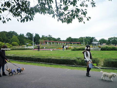 P1060717.JPG