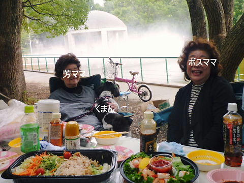 P1060739.JPG