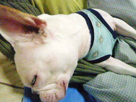 P1060774.JPG