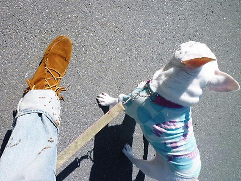 P1060820.JPG