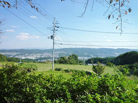 P1060828.JPG