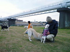 P1070019.JPG