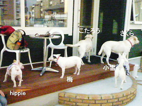P1070377.JPG