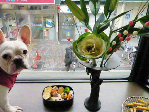 P1070417.JPG