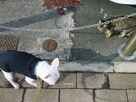 P1070466.JPG