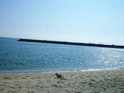 P1070533.JPG