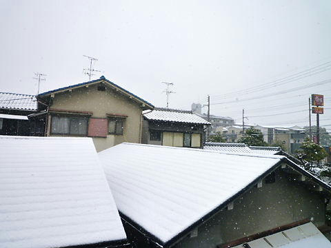P1070581.JPG