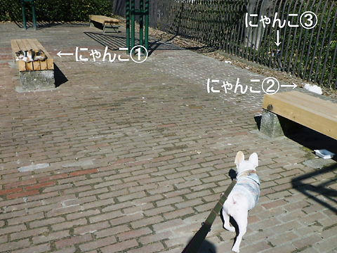 P1070589.JPG