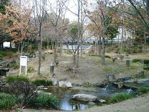 P1070633.JPG