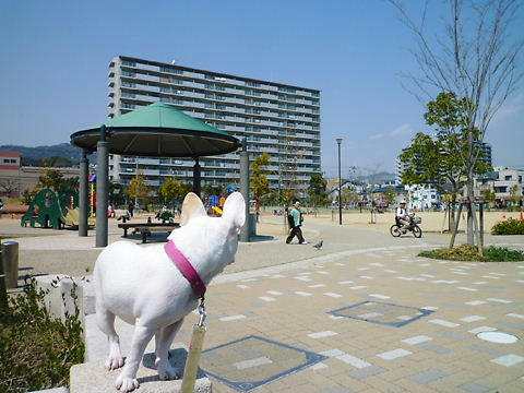 P1070702.JPG