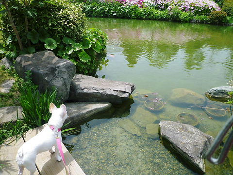 P1080006.JPG