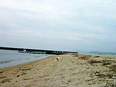 P1080093.jpg
