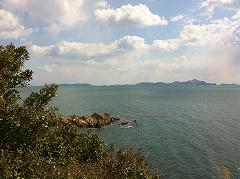 IMG_2403.jpg