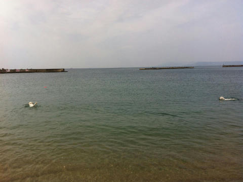 IMG_2819.jpg