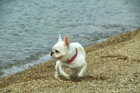 DSC_0015.jpg