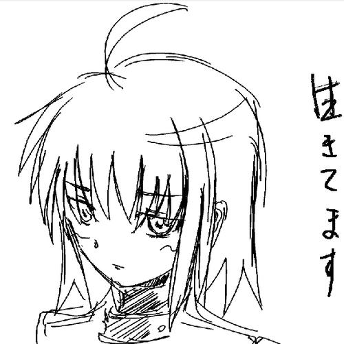 20081009.jpeg