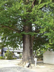 02ee965c.jpg