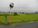 a623df8e.jpg
