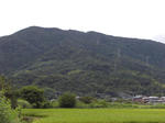 460c8b1f.jpg