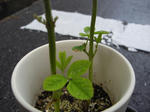 6b969b87.jpg