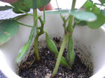953e796c.jpg