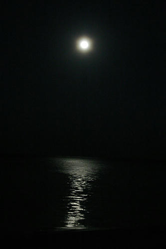 Sea