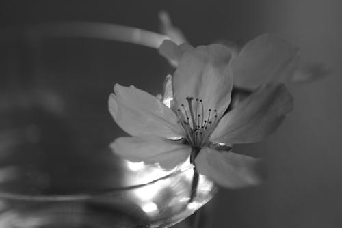 IMG_3444m.jpg