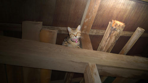 P1000179.jpg