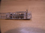 RIMG0819.JPG