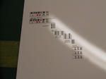 RIMG0927.JPG