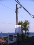 RIMG0980.JPG