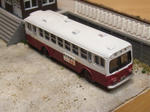 bus1.jpg