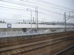 RIMG1134.JPG