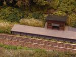 RIMG1399.JPG