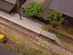 RIMG1400.JPG