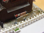 RIMG1570.JPG