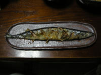 秋刀魚皿に秋刀魚
