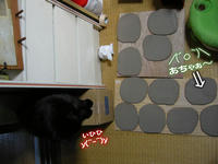 愛猫クロ後ろ足踏み皿