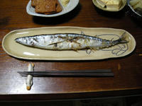猫柄象嵌秋刀魚皿 にサンマセットっ！