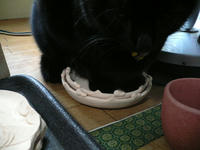 暖をとる黒猫