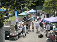 8月7日、生田緑地で出店！夏を実感！