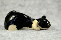 家鴨窯281号　５匹の群れ猫（ちゃりてぃ猫だらけ展）