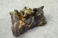 家鴨窯271号　３サビ姉妹の群れ猫